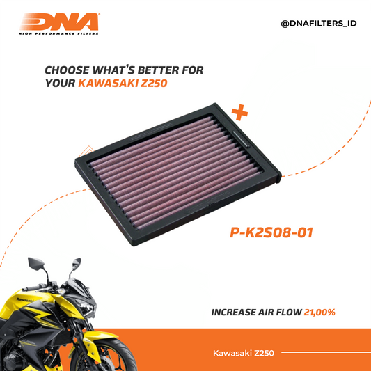 DNA FILTER Kawasaki Ninja 250 Fi Old / Z250 13-17
