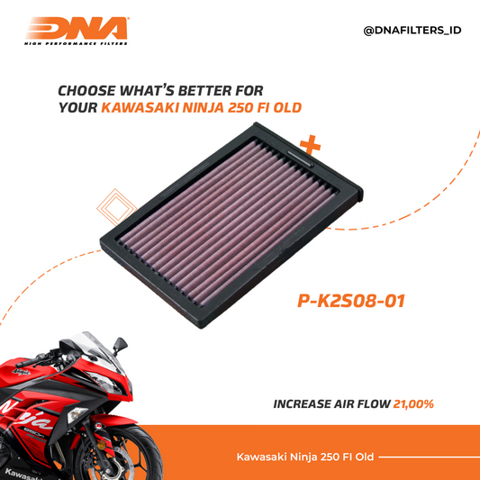 DNA FILTER Kawasaki Ninja 250 Fi Old / Z250 13-17